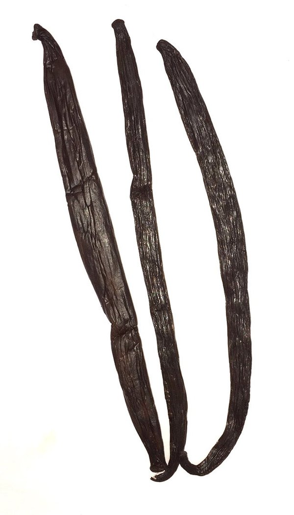 Tahitensis Gourmet Vanille, 250 g, 15-18 cm, inkl. MwSt. und Versand