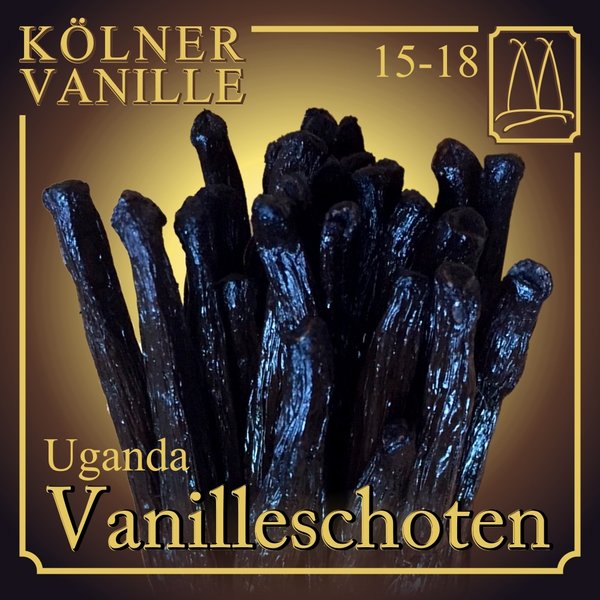 Vanille Gourmet Uganda, 15-18 cm, inkl. MwSt. und Versand